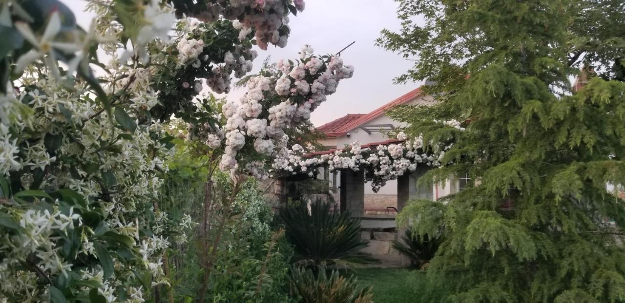 Country House Bubullime Albania Lushnje Luaran gambar